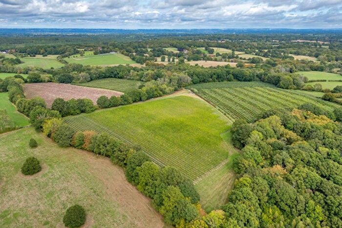 Land For Sale In The Marlpit Vineyard Amp; Apple Orchard, Benenden, Cranbrook, Kent, TN17