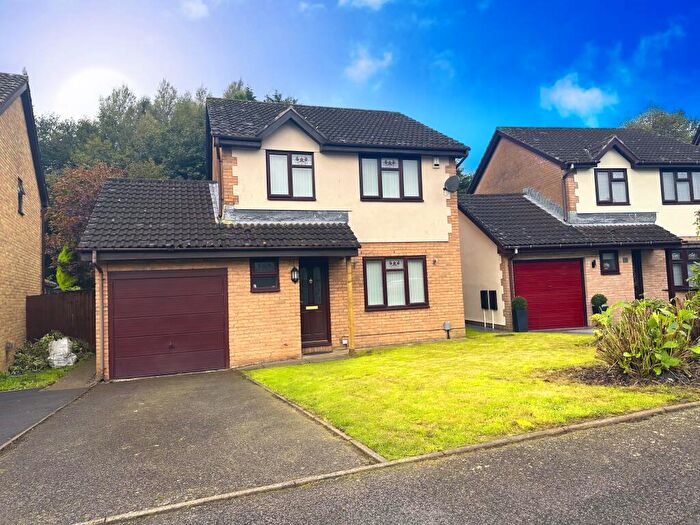 3 Bedroom Detached House To Rent In Cwrt Llwyn Fedwen, Morriston, SA6