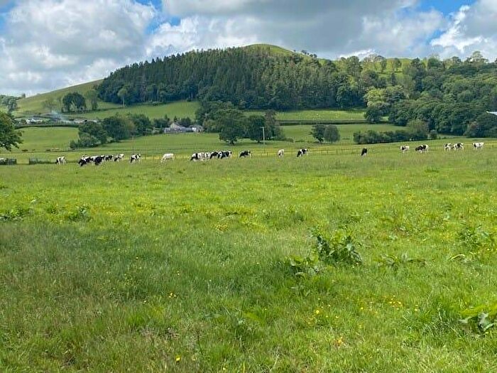 Farm Land For Sale In Felinfach, Lampeter, SA48