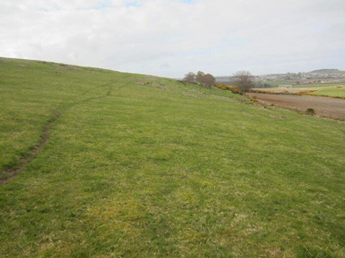 Land For Sale In Land At Knockorth, Aberchirder, Huntly, Aberdeenshire, AB53