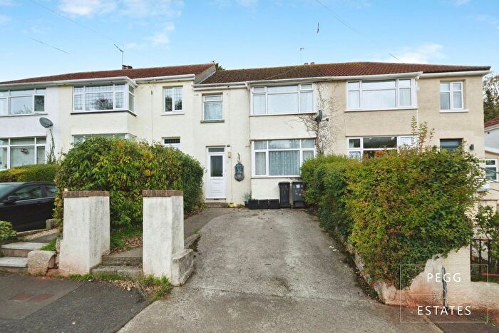 3 Bedroom Terraced House For Sale In Sherwell Valley Road, Torquay, TQ2