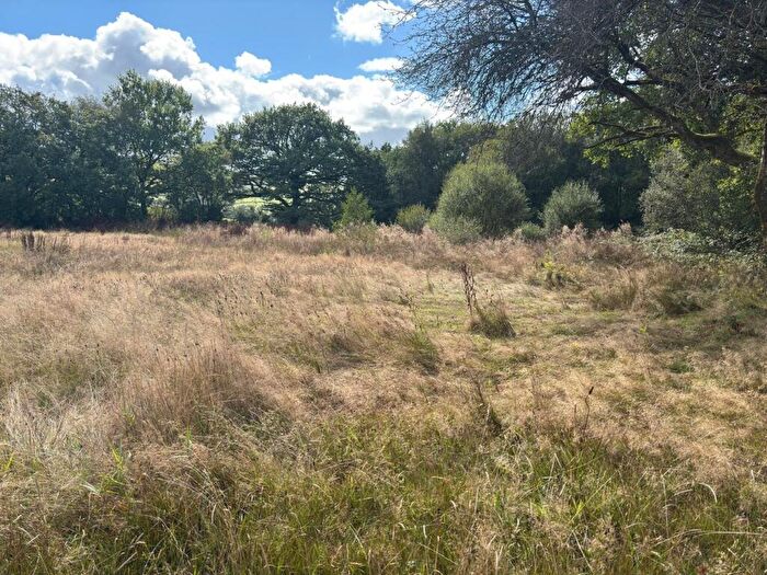 Farm Land For Sale In Gwynfe, Llangadog, SA19
