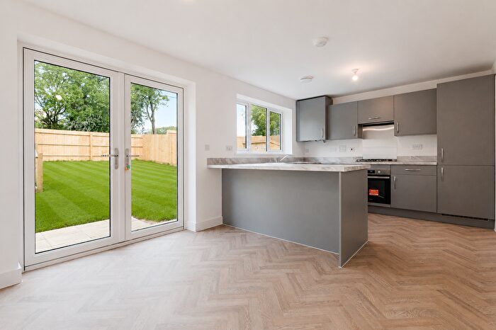 3 Bedroom Semi-Detached House To Rent In Leaf Living At Summerhill Gardens, Polegate, Hailsham, Zb, BN27