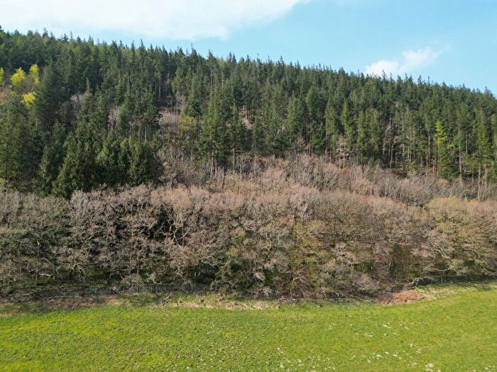 Land For Sale In Coed Dysynni, LL36