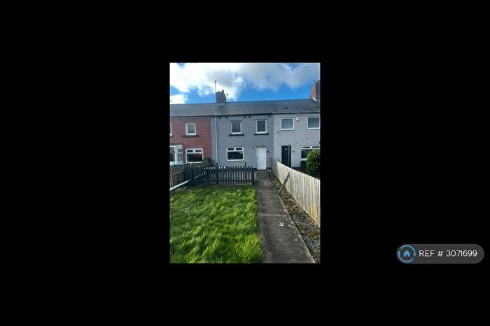 3 Bedroom Terraced House To Rent In Fenwick St, Boldon Colliery, NE35