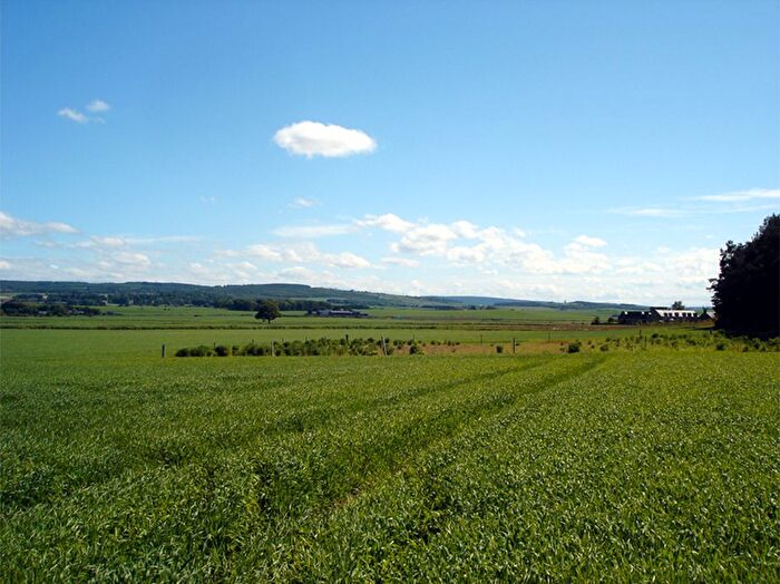 Land For Sale In Muirhead, Kinloss, Moray, IV36