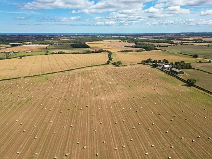 Farm Land For Sale In Healeywood Farm, Morpeth, Northumberland, NE61