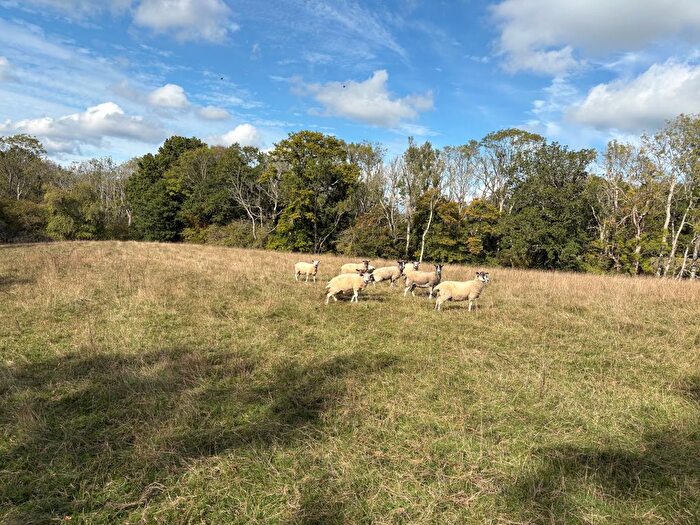 Land For Sale In Five Ashes, Mayfield, TN20
