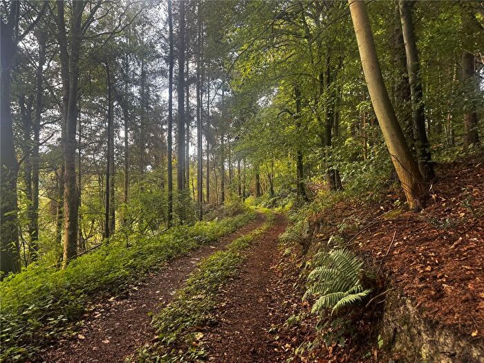 Land For Sale In Penthryn Wood, Berriew, Welshpool, Powys, SY21