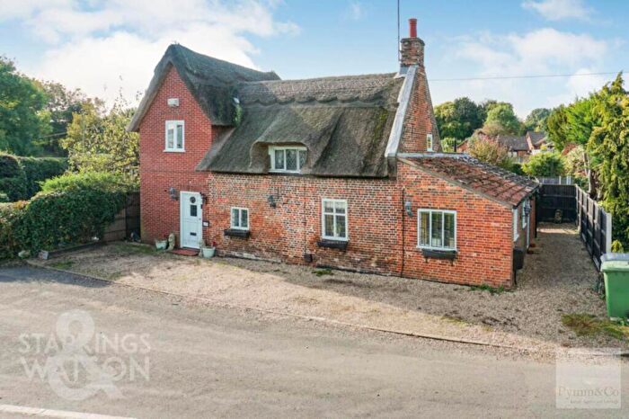 Semi-Detached House To Rent In Danesbower Lane, Blofield, NR13
