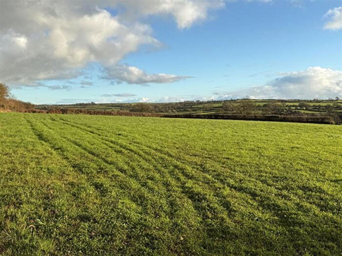 Farm Land For Sale In At New Holmus, Little Newcastle, SA62