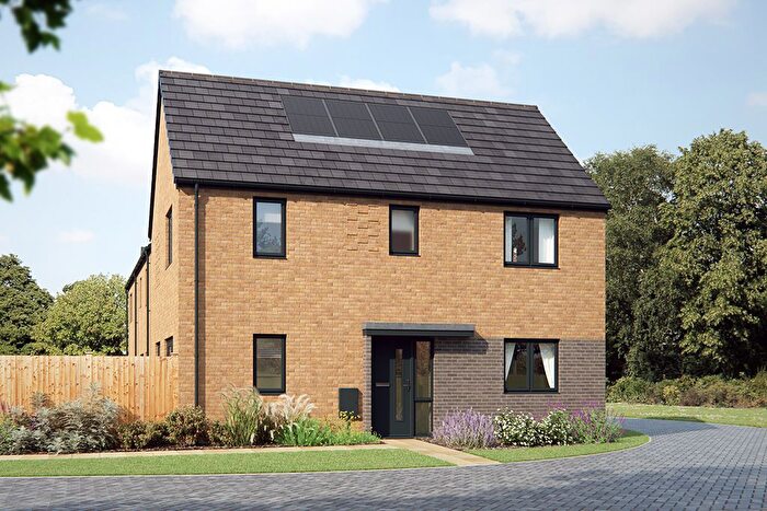 3 Bedroom Detached House For Sale In Aconite Road, King's Lynn, PE30