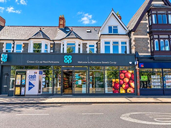 3 Bedroom Flat To Rent In Pontcanna Street, Pontcanna, Cardiff, CF11