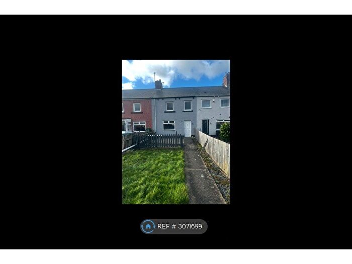 3 Bedroom Terraced House To Rent In Fenwick St, Boldon Colliery, NE35