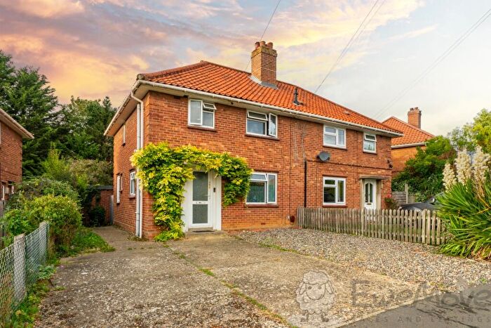3 Bedroom Semi-Detached House To Rent In Pople Street, Wymondham, Norfolk, NR18