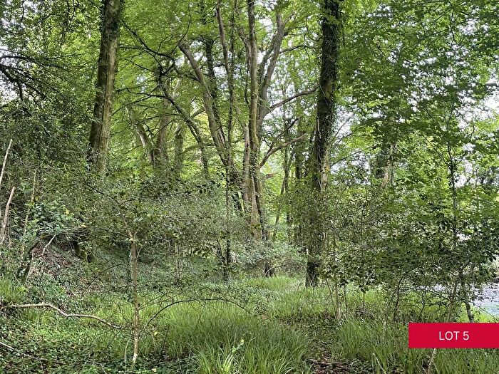 Land For Sale In Avonwick, South Brent, TQ10
