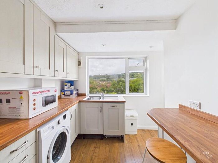 4 Bedroom Terraced House To Rent In Widdicombe Way, Brighton, BN2