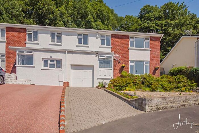 3 Bedroom Semi-Detached House For Sale In Bryncatwg, Neath, SA10