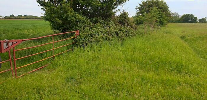 Land For Sale In Common Road, Dickleburgh, IP21