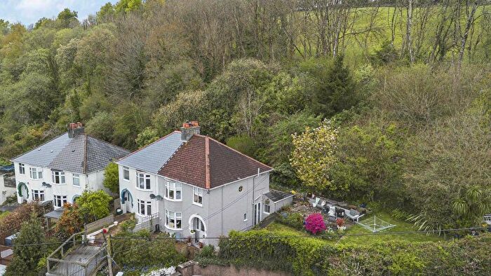 3 Bedroom Semi-Detached House For Sale In Old Exeter Road, Tavistock, PL19
