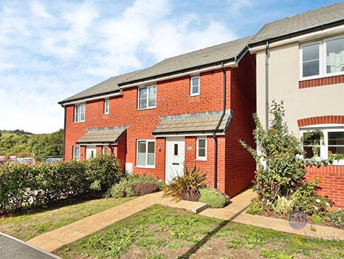 3 Bedroom Semi Detached House For Sale In Wagtail Walk, Axminster, EX13