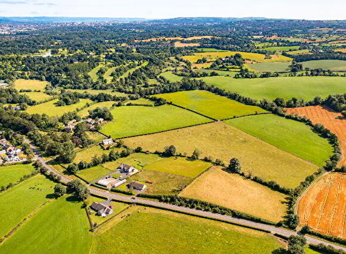 Country Estates For Sale In Ballyowan House & Farm, Drumbeg Road, Dunmurry, BT17