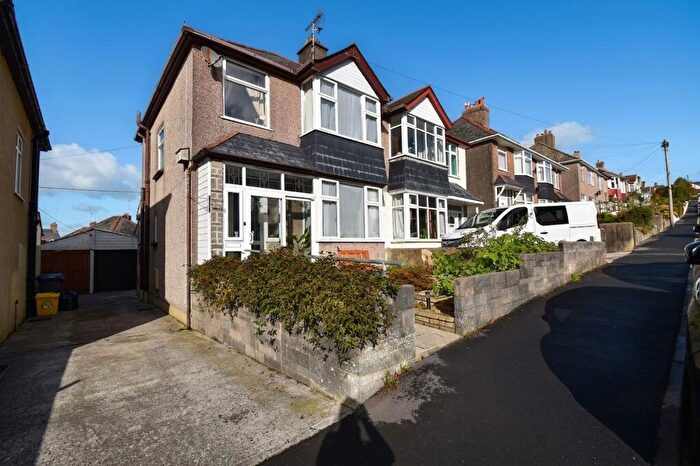 3 Bedroom Semi-Detached House For Sale In Leaholes Avenue, Okehampton, EX20