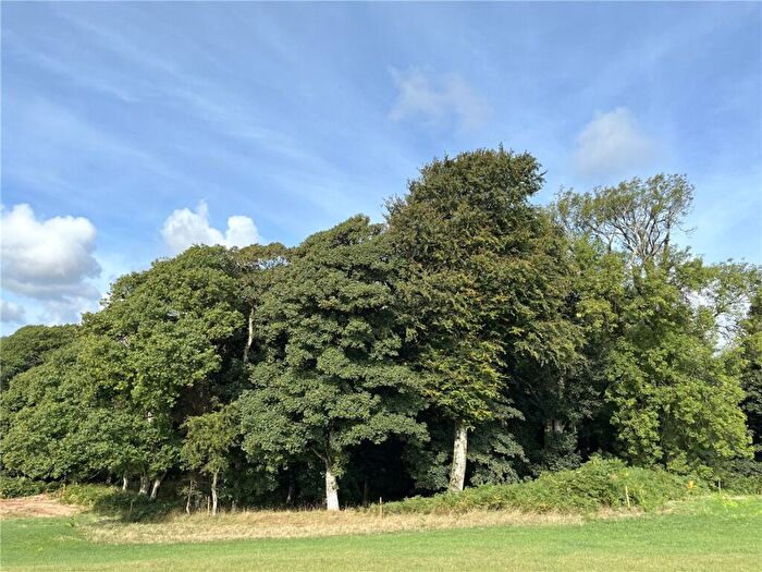Land For Sale In Boduan, Pwllheli, Gwynedd, LL53