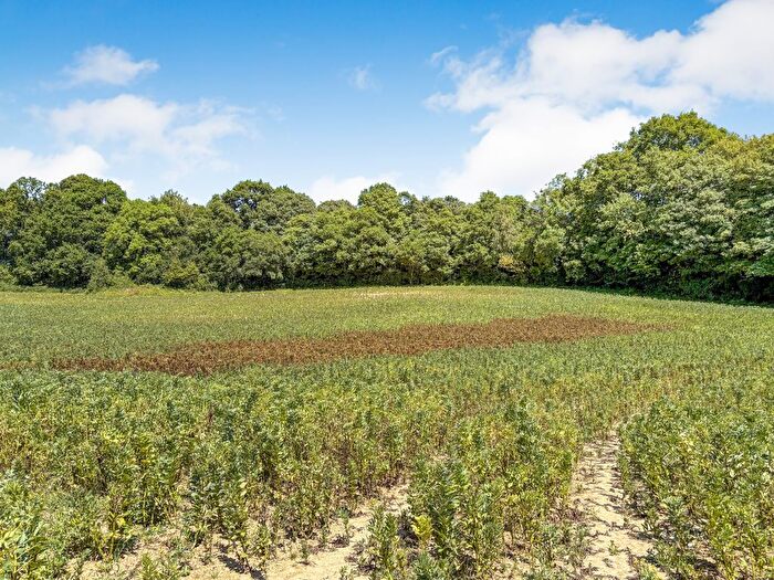 Land For Sale In Riccards Lane, Whatlington, TN33