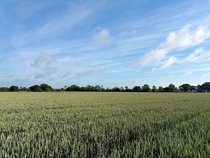 Farm Land For Sale In Land At Wissett, Lodge Lane, Wissett, Halesworth, Suffolk, IP19